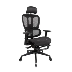 Ergonomic Mesh Office Chair